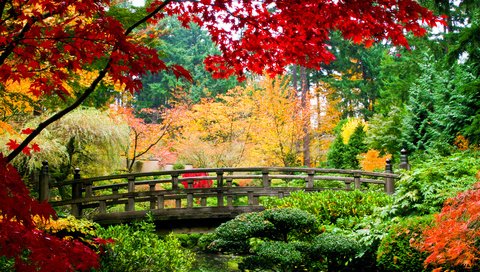 Обои парк, мост, осень, красивая осень, park, bridge, autumn, beautiful autumn разрешение 3000x2003 Загрузить