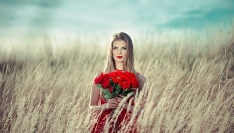 Обои девушка, поле, розы, красные, букет, макияж, girl, field, roses, red, bouquet, makeup разрешение 2500x1673 Загрузить