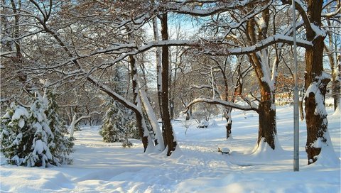 Обои деревья, снег, зима, лучи, парк, деревь, trees, snow, winter, rays, park разрешение 3004x1885 Загрузить