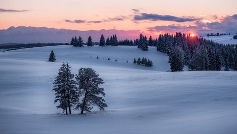 Обои солнце, закат, зима, winter sunset, the sun, sunset, winter разрешение 2048x1367 Загрузить