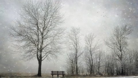 Обои снег, дерево, зима, скамья, snow, tree, winter, bench разрешение 2048x1300 Загрузить