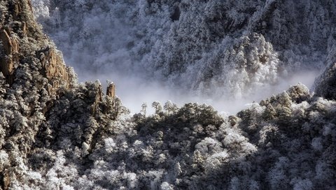 Обои свет, горы, лес, утро, туман, light, mountains, forest, morning, fog разрешение 2047x1269 Загрузить