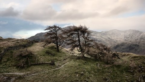 Обои небо, деревья, горы, природа, забор, the sky, trees, mountains, nature, the fence разрешение 2448x1206 Загрузить