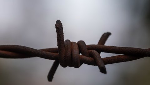 Обои макро, фон, проволока, забор, колючая проволока, macro, background, wire, the fence, barbed wire разрешение 2047x1285 Загрузить