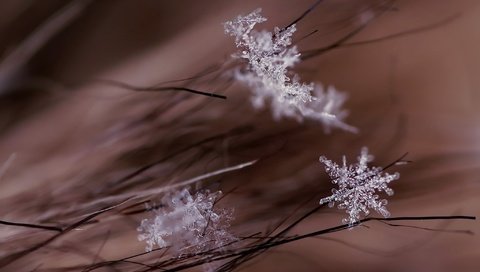 Обои макро, снежинки, фон, macro, snowflakes, background разрешение 2048x1361 Загрузить