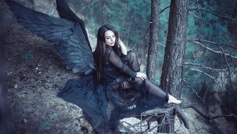 Обои лес, девушка, крылья, ангел, черные крылья, forest, girl, wings, angel, black wings разрешение 5616x3744 Загрузить