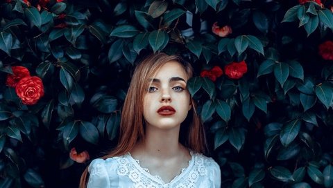Обои цветы, девушка, портрет, розы, лицо, веснушки, flowers, girl, portrait, roses, face, freckles разрешение 2048x1529 Загрузить