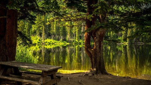 Обои деревья, вода, озеро, природа, лес, стол, скамейка, trees, water, lake, nature, forest, table, bench разрешение 6016x4016 Загрузить