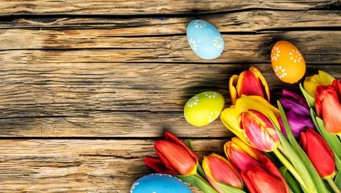 Обои тюльпаны, довольная, пасха, красочная, праздник, яйца крашеные, дерева, тульпаны,  цветы, глазунья, весенние, зеленые пасхальные, tulips, happy, easter, colorful, holiday, the painted eggs, wood, flowers, eggs, spring разрешение 3360x2240 Загрузить