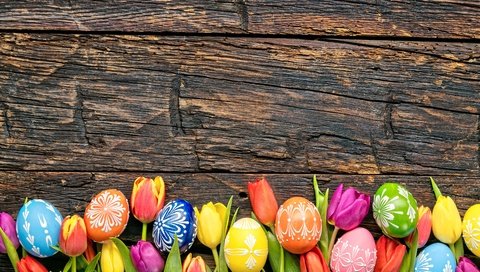 Обои довольная, тюльпаны, красочная, пасха, яйца крашеные, праздник, дерева, тульпаны,  цветы, глазунья, весенние, зеленые пасхальные, happy, tulips, colorful, easter, the painted eggs, holiday, wood, flowers, eggs, spring разрешение 6480x4320 Загрузить