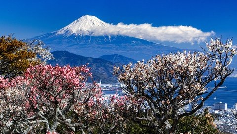 Обои деревья, горы, пейзаж, город, весна, trees, mountains, landscape, the city, spring разрешение 2048x1365 Загрузить