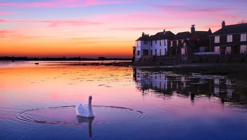 Обои озеро, закат, птица, здание, лебедь, lake, sunset, bird, the building, swan разрешение 2048x1202 Загрузить