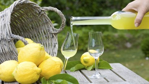 Обои напиток, фрукты, корзина, лимоны, цитрусы, ликер, drink, fruit, basket, lemons, citrus, liqueur разрешение 2400x1500 Загрузить