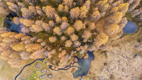 Обои деревья, природа, вид сверху, осень, водоемы, trees, nature, the view from the top, autumn, ponds разрешение 2500x1418 Загрузить