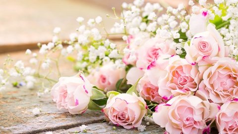 Обои цветы, розы, букет, романтик,  цветы, роз, пинк, flowers, roses, bouquet, romantic, pink разрешение 5472x3648 Загрузить