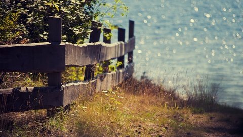 Обои свет, трава, природа, пейзаж, море, лето, забор, ограждение, light, grass, nature, landscape, sea, summer, the fence разрешение 3008x2000 Загрузить