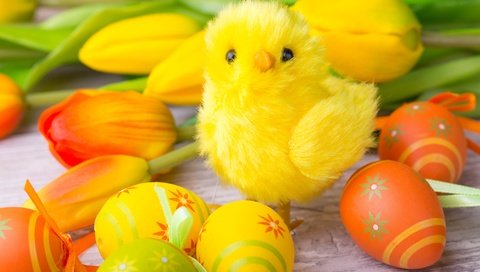 Обои цветы, тюльпаны, пасха, цыплёнок, яйца крашеные, flowers, tulips, easter, chicken, the painted eggs разрешение 5472x3648 Загрузить