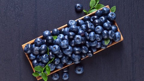 Обои еда, витамины, ягоды, черника, корзинка, черничный, food, vitamins, berries, blueberries, basket, blueberry разрешение 5070x3660 Загрузить