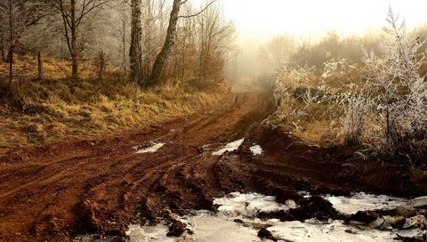 Обои свет, дорога, деревья, снег, туман, light, road, trees, snow, fog разрешение 1920x1280 Загрузить