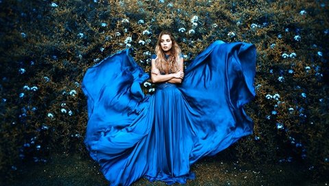 Обои цветы, девушка, платье, взгляд, волосы, ronny garcia, bluish, flowers, girl, dress, look, hair разрешение 2000x1333 Загрузить