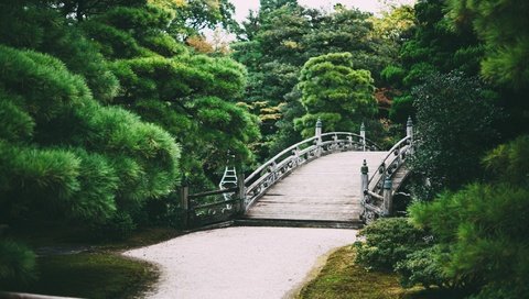 Обои деревья, природа, парк, мост, сад, trees, nature, park, bridge, garden разрешение 2048x1152 Загрузить