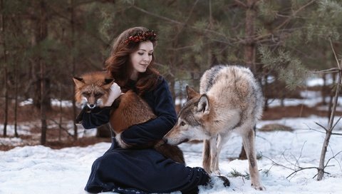 Обои снег, природа, лес, девушка, животные, лиса, волосы, волк, snow, nature, forest, girl, animals, fox, hair, wolf разрешение 2250x1500 Загрузить