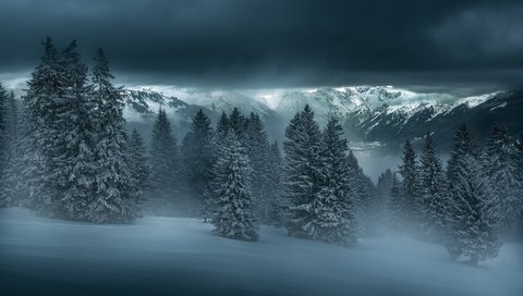 Обои деревья, горы, снег, природа, лес, зима, пасмурно, trees, mountains, snow, nature, forest, winter, overcast разрешение 2048x1367 Загрузить