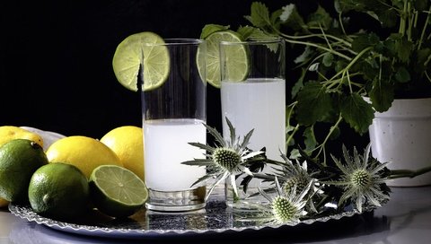 Обои напиток, лимон, лайм, коктейль, стаканы, цитрусы, лимонад, drink, lemon, lime, cocktail, glasses, citrus, lemonade разрешение 2048x1365 Загрузить