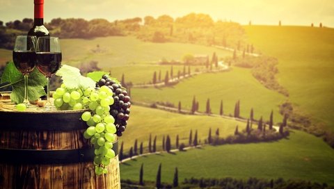 Обои виноград, тоскана, пейзаж, поля, италия, вино, бутылка, бокалы, бочка, grapes, tuscany, landscape, field, italy, wine, bottle, glasses, barrel разрешение 5616x3414 Загрузить