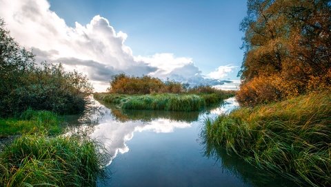 Обои небо, трава, облака, деревья, река, отражение, the sky, grass, clouds, trees, river, reflection разрешение 1920x1280 Загрузить