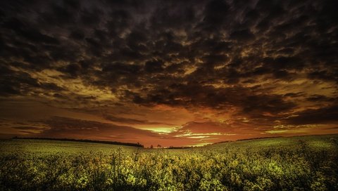 Обои небо, облака, закат, тучи, поле, рапс, the sky, clouds, sunset, field, rape разрешение 2560x1709 Загрузить