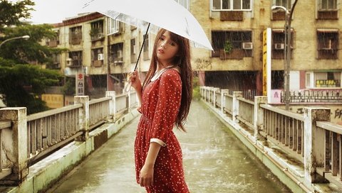 Обои девушка, брюнетка, мост, дождь, зонт, азиатка, girl, brunette, bridge, rain, umbrella, asian разрешение 1920x1200 Загрузить