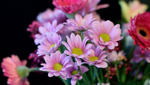 Обои цветы, букет, розовый, герберы, хризантемы, композиция, flowers, bouquet, pink, gerbera, chrysanthemum, composition разрешение 2048x1365 Загрузить