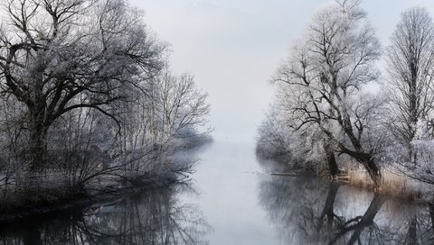 Обои деревья, река, зима, туман, ветки, trees, river, winter, fog, branches разрешение 2048x1365 Загрузить