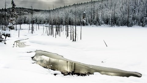 Обои деревья, вода, река, снег, лес, зима, trees, water, river, snow, forest, winter разрешение 2048x1363 Загрузить