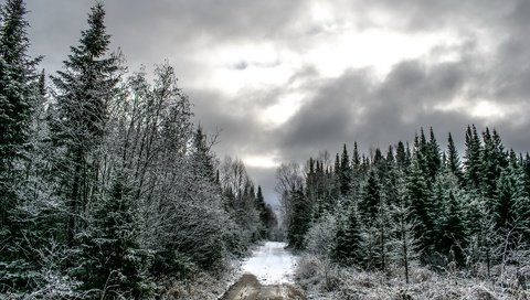 Обои дорога, лес, тучи, зима, ели, road, forest, clouds, winter, ate разрешение 1920x1280 Загрузить