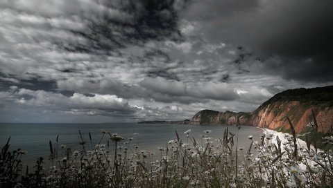 Обои небо, цветы, скалы, берег, тучи, море, the sky, flowers, rocks, shore, clouds, sea разрешение 2048x1144 Загрузить