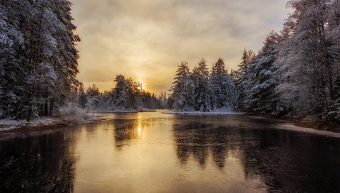 Обои деревья, река, снег, лес, зима, лёд, trees, river, snow, forest, winter, ice разрешение 2560x1707 Загрузить