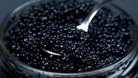 Обои черная, банка, икра, ложка, морепродукты, черная икра, black, bank, caviar, spoon, seafood, black caviar разрешение 2560x1708 Загрузить