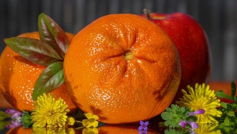 Обои цветы, фрукты, апельсин, яблоко, цитрус, flowers, fruit, orange, apple, citrus разрешение 2048x1278 Загрузить