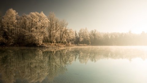 Обои деревья, озеро, лес, зима, отражение, туман, trees, lake, forest, winter, reflection, fog разрешение 2560x1613 Загрузить