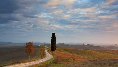 Обои небо, дорога, облака, дерево, поле, италия, тоскана, the sky, road, clouds, tree, field, italy, tuscany разрешение 3887x2410 Загрузить