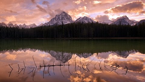 Обои облака, озеро, горы, лес, отражение, коряга, clouds, lake, mountains, forest, reflection, snag разрешение 1920x1200 Загрузить