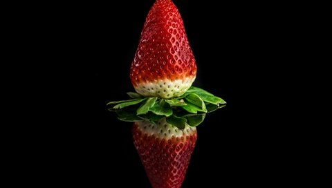 Обои отражение, ягода, клубника, черный фон, reflection, berry, strawberry, black background разрешение 4000x2647 Загрузить