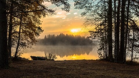 Обои озеро, лес, утро, туман, рассвет, lake, forest, morning, fog, dawn разрешение 2560x1600 Загрузить