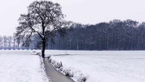 Обои река, снег, дерево, лес, зима, поле, чёрно-белое, river, snow, tree, forest, winter, field, black and white разрешение 2560x1706 Загрузить