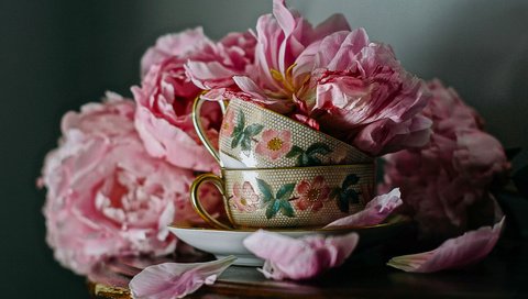 Обои цветы, лепестки, чашки, столик, натюрморт, пионы, flowers, petals, cup, table, still life, peonies разрешение 2048x1305 Загрузить