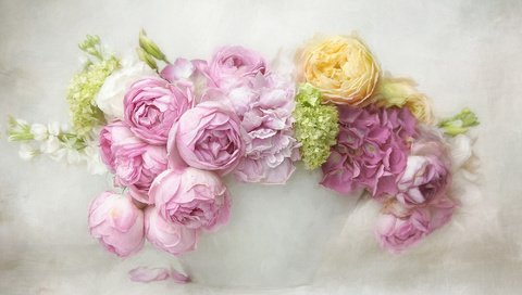 Обои цветы, розы, рендеринг, букет, гортензия, flowers, roses, rendering, bouquet, hydrangea разрешение 2000x1333 Загрузить