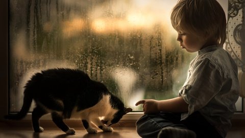Обои капли, малыш, котенок, подоконник, дети, iwona podlasinska, дождь, ребенок, окно, мальчик, животное, drops, baby, kitty, sill, children, rain, child, window, boy, animal разрешение 2048x1463 Загрузить