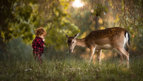 Обои зелень, adrian c. murray, лес, олень, дети, ребенок, мальчик, животное, малыш, greens, forest, deer, children, child, boy, animal, baby разрешение 2048x1365 Загрузить